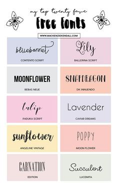 some type of font that is in different colors and sizes, with the names below it