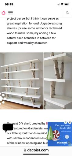 an image of some shelves with trees on them