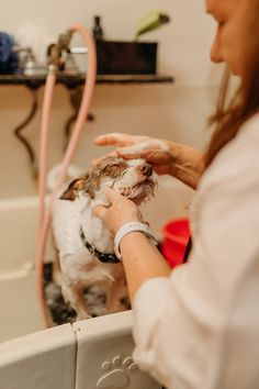 a woman washes her dog in the bathtub