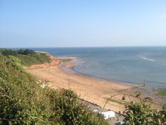 the beach is next to some trees and water