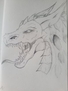 a drawing of a dragon with its mouth open