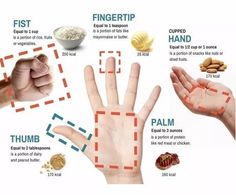 Portion Size Guide, Track Calories, Gym Nutrition, Nutrition Month, Muscle Food, Portion Sizes, Nutrition Education, Make Good Choices