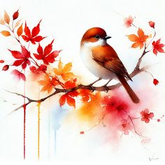 a watercolor painting of a bird sitting on a branch with red and orange leaves