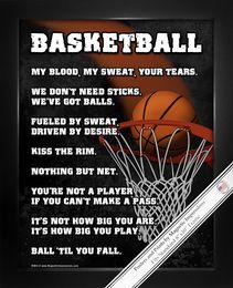 an image of a basketball poster with the words,'my blood, my sweat, your tears we don't need sticks