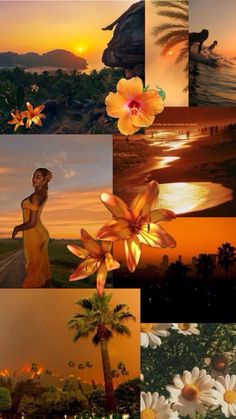 a collage of photos with flowers and the sun setting in the sky above them