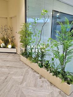 an indoor planter filled with lots of plants next to a wall mounted glass window