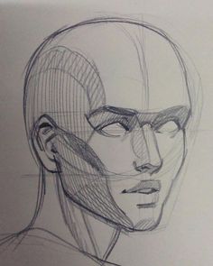 a drawing of a man's head with lines on it