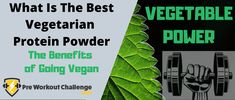 Best Vegetarian Protein, Benefits Of Going Vegan, Vegan Pre Workout, Protein Benefits, Fat Burning Supplements, Muscle Building Supplements, Plant Based Protein Powder, Protein Power, Organic Protein