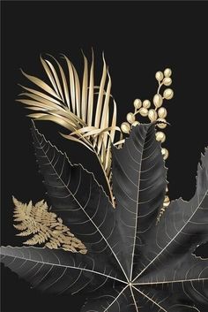 a black and gold leaf with some white flowers on it's back side, in front of a black background