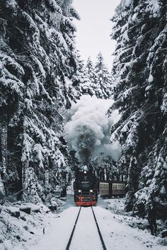 a train traveling through a snow covered forest