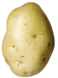 a close up of a potato on a white background