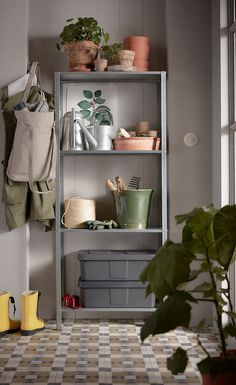 a potted plant sitting on top of a shelf next to other pots and containers