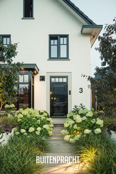 a white house with black windows and plants on the front lawn, surrounded by shrubs