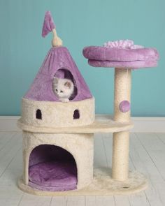 a small white cat sitting in a purple kitty house