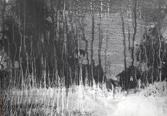 black and white photograph of trees in the snow