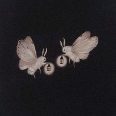 two white moths flying over a black background