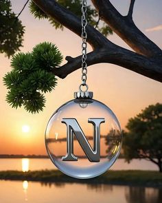 a glass ornament with the letter n hanging from a tree branch at sunset