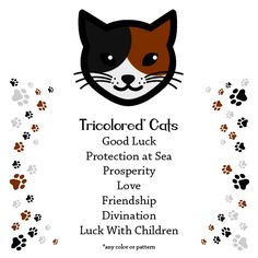 a cat with paws around it and the words tricolored cats good luck protection at sea prosperity love