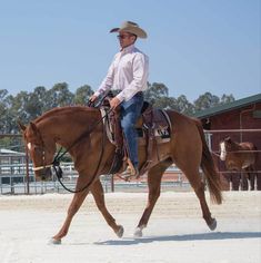 a man riding on the back of a brown horse