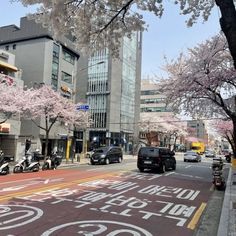 cars and scooters are parked on the street in front of cherry blossom trees