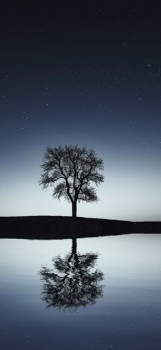 a lone tree stands in the middle of a lake at night with stars above it