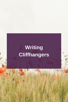 the words writing cliffhangers in front of a field of poppies and wheat