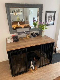 a dog is sitting in his kennel under the mirror