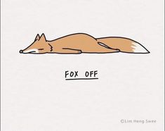 a drawing of a fox laying down with the words fox off on it's side