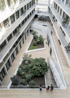 two people walking up and down the stairs in an office building with plants on each floor