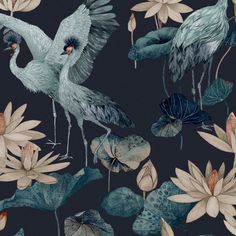 two birds and water lilies on a dark background