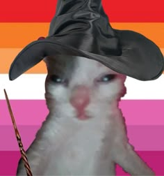 a cat wearing a witches hat and holding a wand