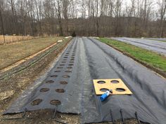 there are many rows of plants in the field that have been planted and laid out