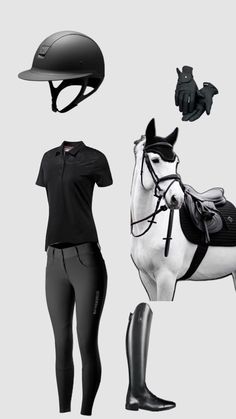 an image of a horse and rider's gear set up in black and white