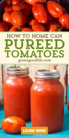 tomatoes in jars with text overlay that reads how to home can pured tomatoes