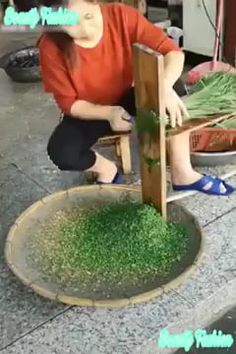 a woman kneeling down next to a basket filled with green plants and grass on top of a table