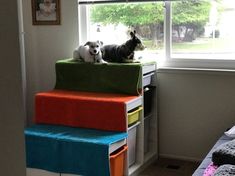 two dogs are sitting on top of three colorful storage bins in front of a window