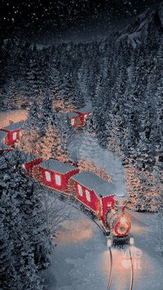 a red train traveling through a snow covered forest