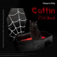 a black cat sitting in a box with a spider web on it's side