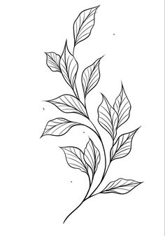 Tattoo Leaves Design, Vine Outline Tattoo, Leaf And Vine Tattoos, Plant Tattoo Outline, Leaf Tattoos Men, Red Leaves Tattoo, Leaves Tattoo Drawing, Small Tropical Tattoos For Women, Linework Tattoo Stencil