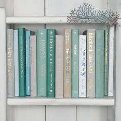 a white shelf filled with lots of books next to a pine cone on top of it