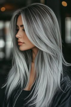 Silver Grey Ombre Hair, Black White Hair Color, Silver Hair Balayage, Black Hair Silver Highlights, Highlights For Long Hair, Silver Long Hair, Long Grey Hair, Silver Ombre Hair, Long Silver Hair