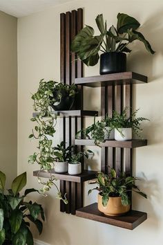 some plants are sitting on shelves in the corner