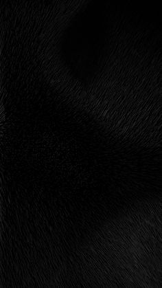 an animal's fur texture is shown in black