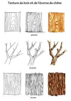 the different types of wood that are used in this drawing project, including trees and branches