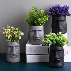 three vases with plants in them sitting on top of a table next to each other