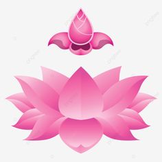 a pink lotus flower with two petals on the bottom and one in the middle, which is