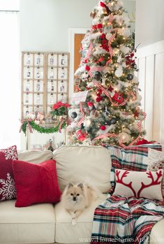 a dog sitting on a couch in front of a christmas tree