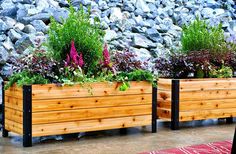 two wooden planters with plants growing in them