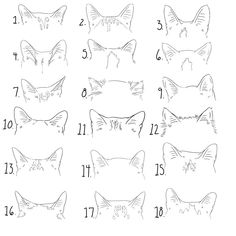 the instructions for how to draw a cat's face with different angles and sizes