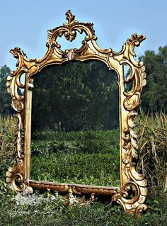 an ornate gold mirror sitting in the grass